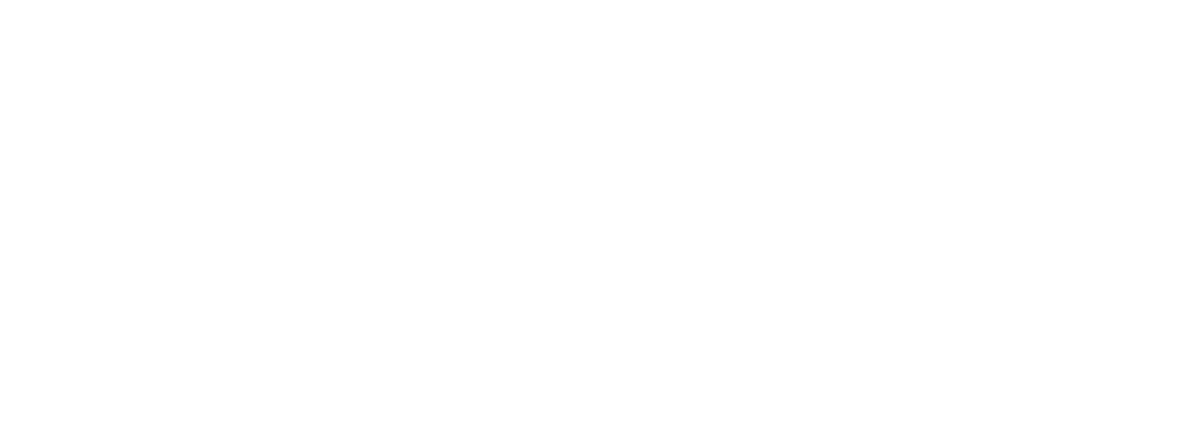 the wedding of